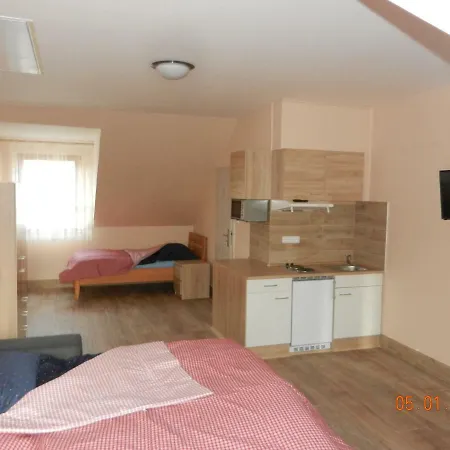 Amalka Cernin Apartment Zdice
